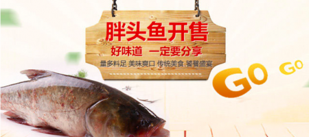 密云水库 胖头鱼